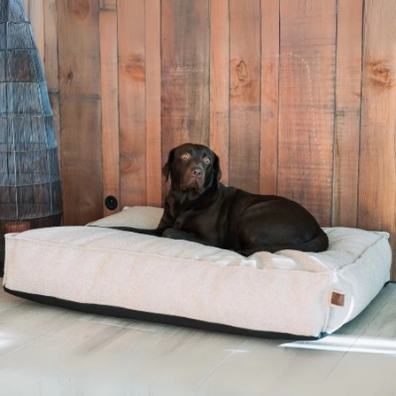 Hondenmatras